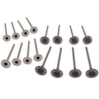 16pc Engine Intake Exhaust Valves for Renault Clio MK III (2005–2012)