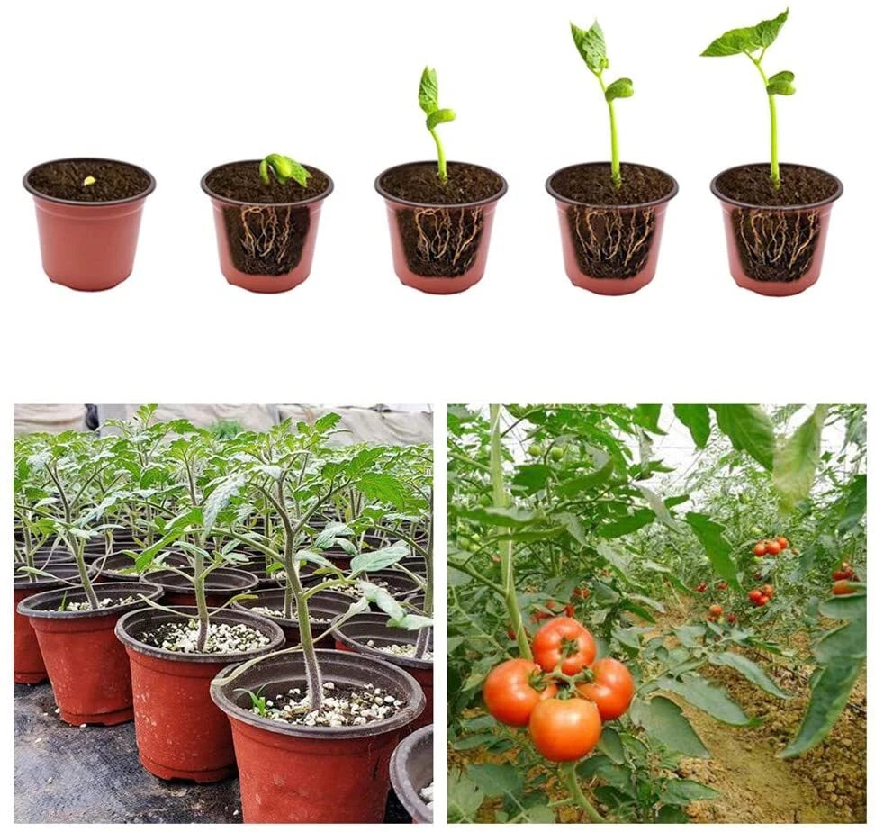Set of 100 Plastic Plant Flower Pots for Seedlings