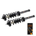 Set of 2 Rear Struts with Coil Spring Assembly for 2004-2008 Acura TSX