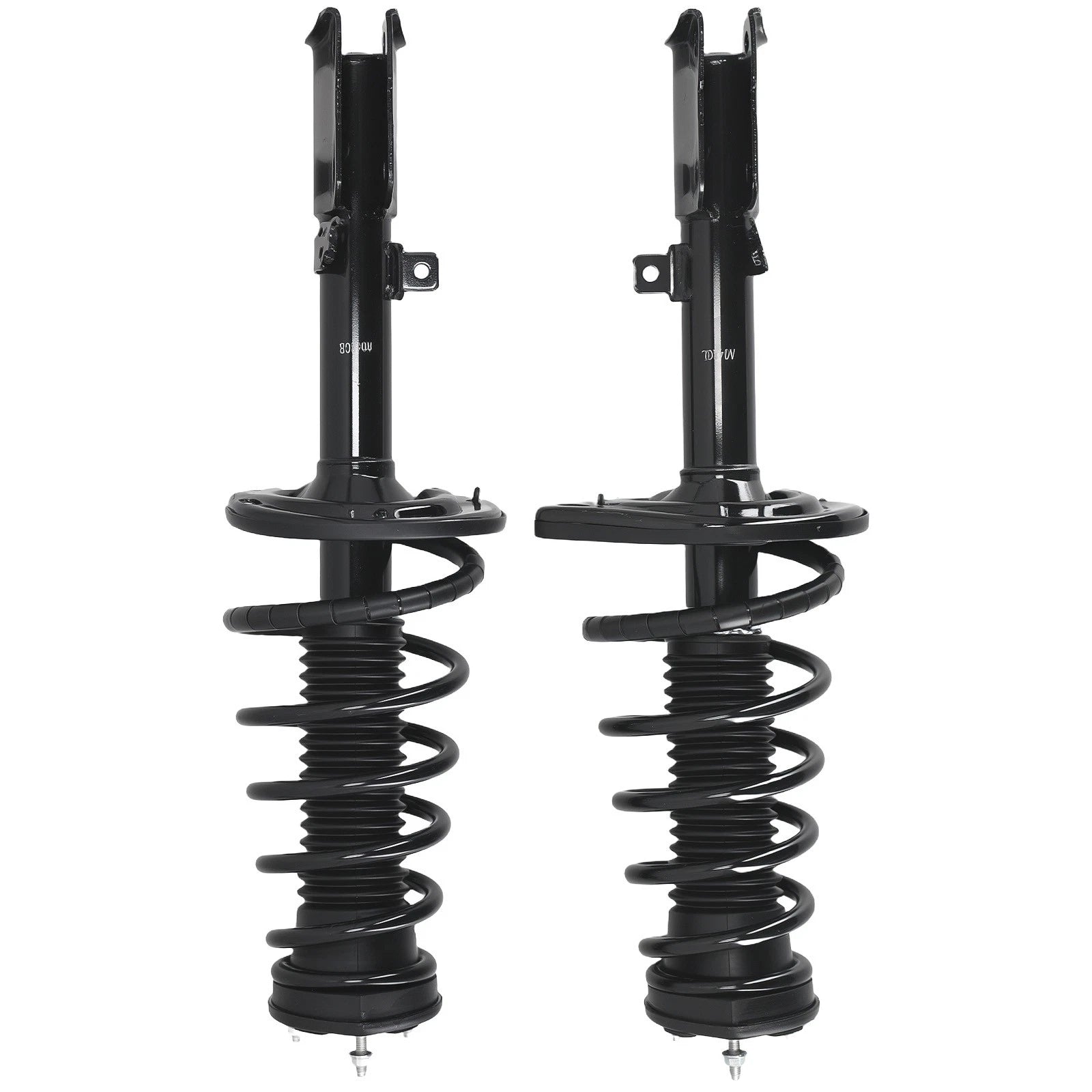 Rear Complete Struts with Coil Spring for Toyota Camry (2012–2017)