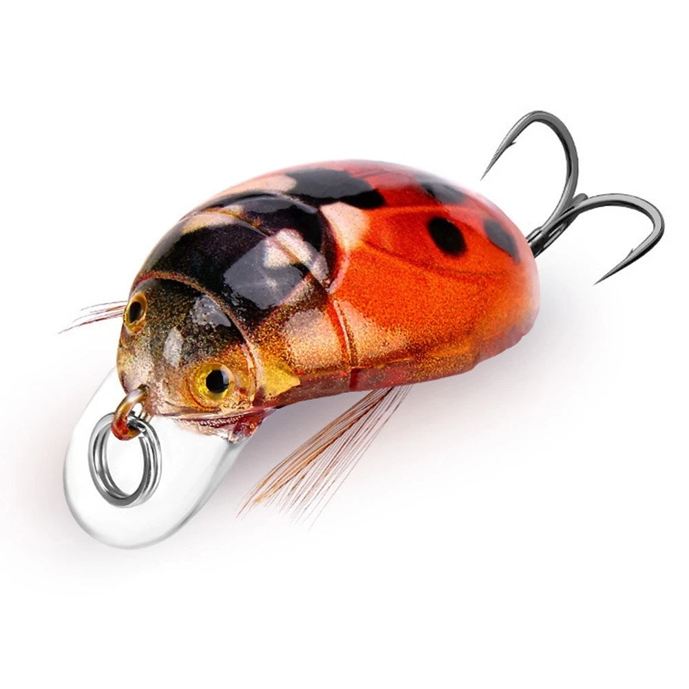 Hard Lures for All Makes and Models