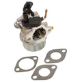 520-025 Carburetor for Briggs and Stratton (Fits )