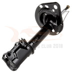 Rear Pair Absorber Strut for Toyota Avalon (2006-2012) & Camry (2007-2011)