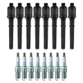 Set of 8 Ignition Coils & Spark Plugs for Ford Mustang V8
