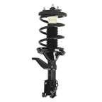 Pair Front Struts with Coil Spring Assembly for Honda CR-V (2002-2006)