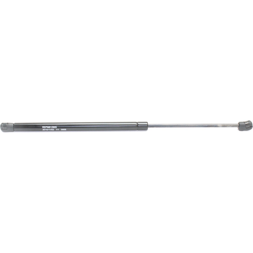 Set of 2 Lift Supports for Mini Cooper (2002–2008)
