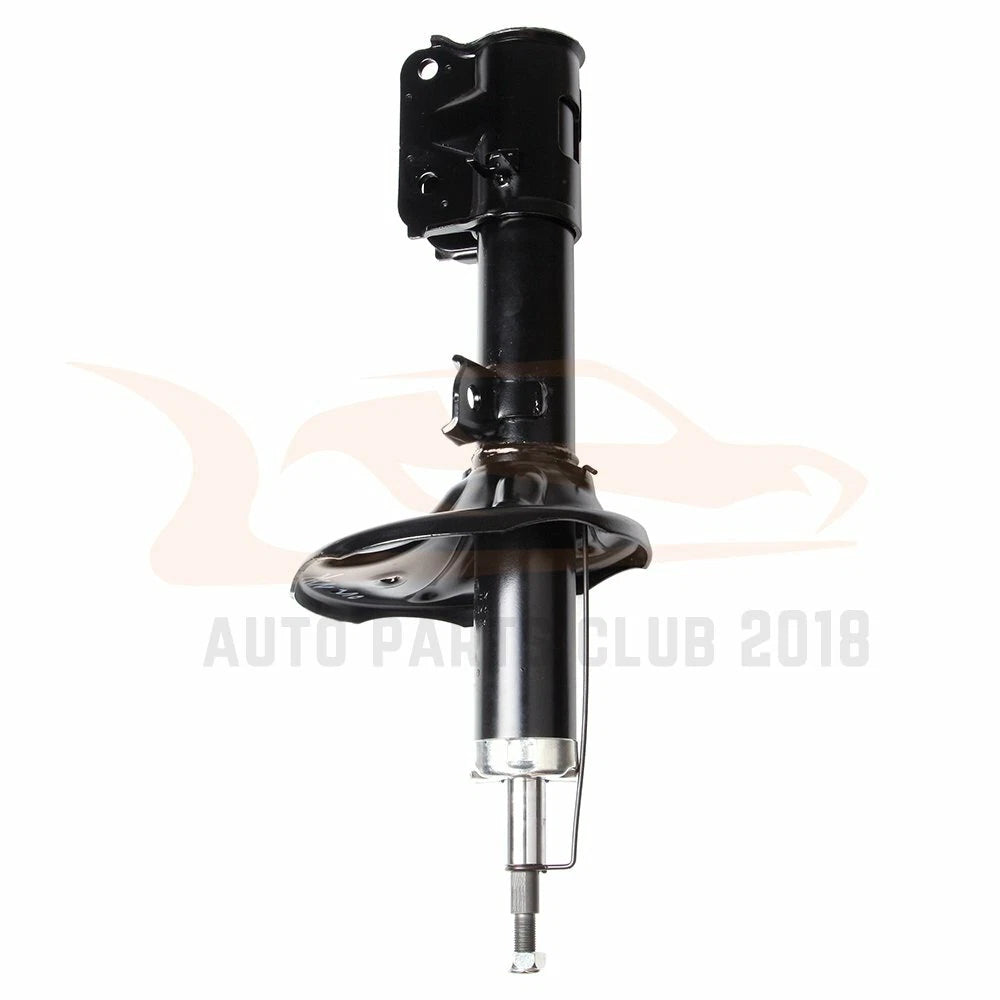 Front Pair Strut Assembly for Hyundai Santa Fe (2001-2006)