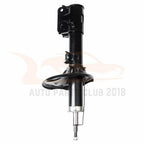 Front Pair Strut Assembly for Hyundai Santa Fe (2001-2006)