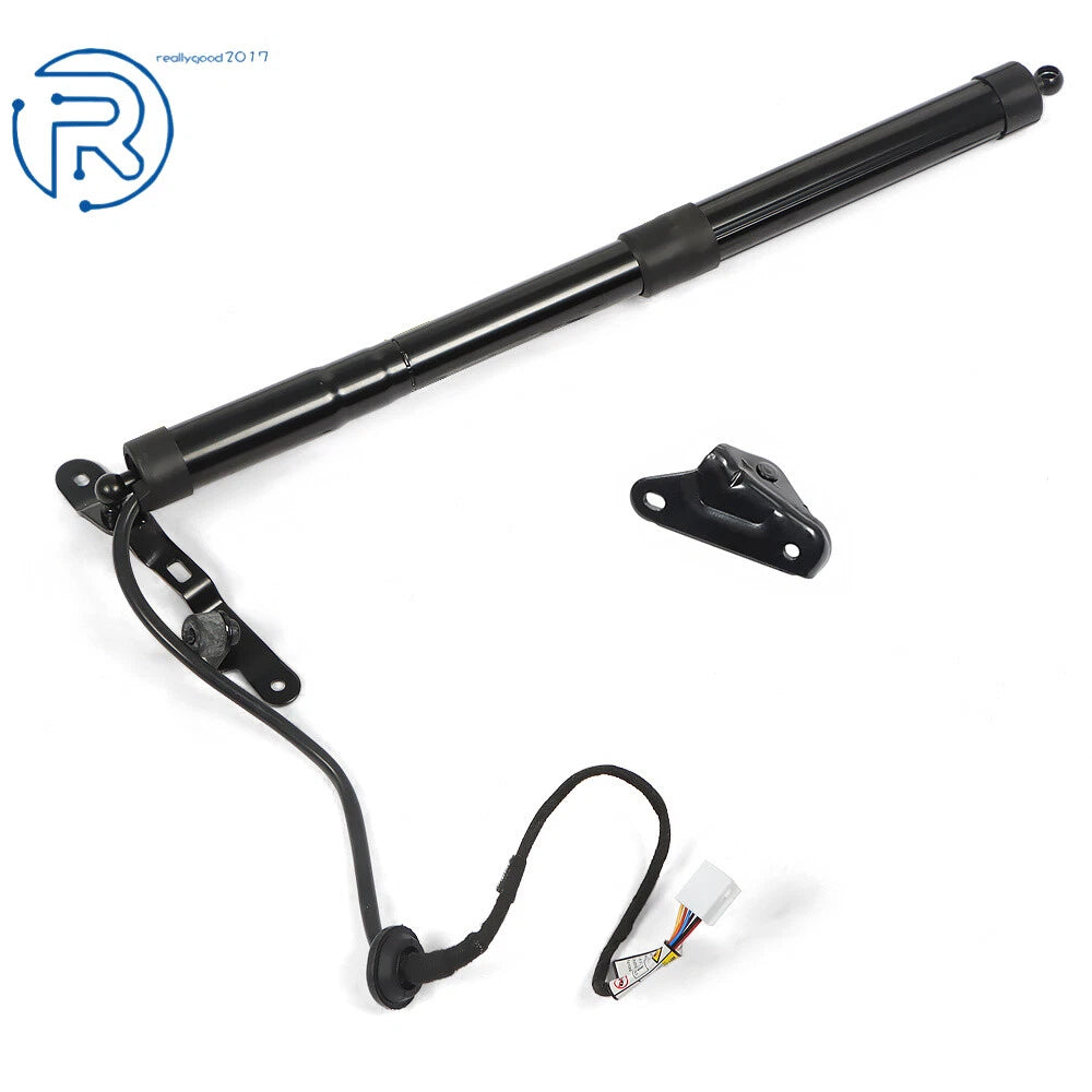 Rear Tailgate Lift Support for Toyota RAV4 (2013-2016)