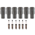 Set of 6 Denso Iridium TT Spark Plugs & Coil Boots for Dodge Avenger Charger Magnum (2008–2014)