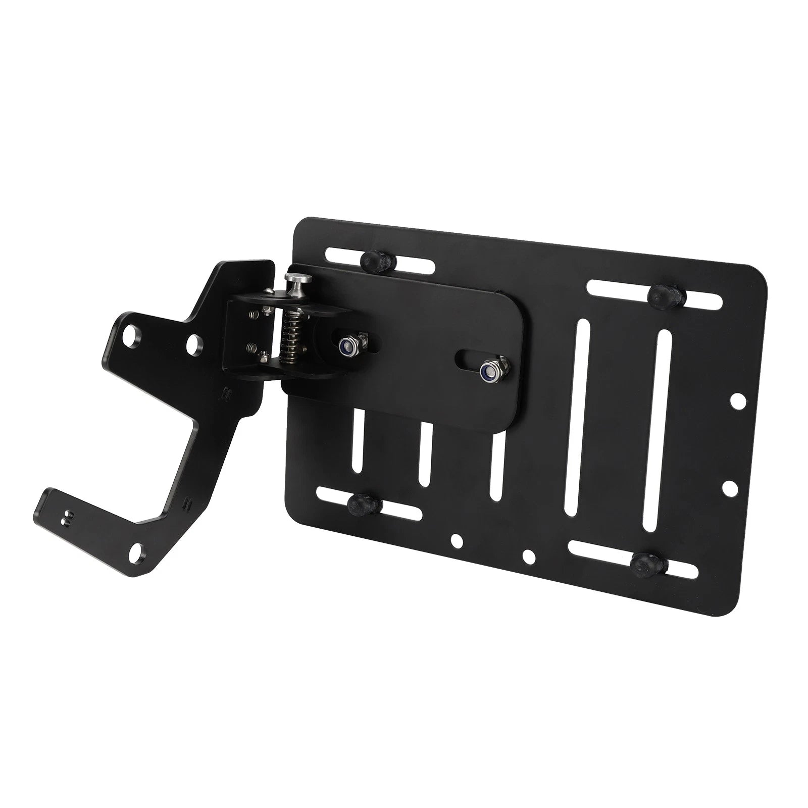 Side License Plate Holder Frame for Indian FTR1200 (2019–2024)