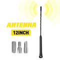 12" Black Antenna for Ford Mustang (2010–2014)