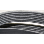 Drive Belt for Honda Accord (2003–2007)