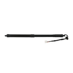 Set of 2 Rear Electric Tailgate Struts for Nissan Rogue (2014–2019)