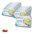 X12 Treefrog Air Freshener for Japan Cars (200g) - Marine Squash Scent