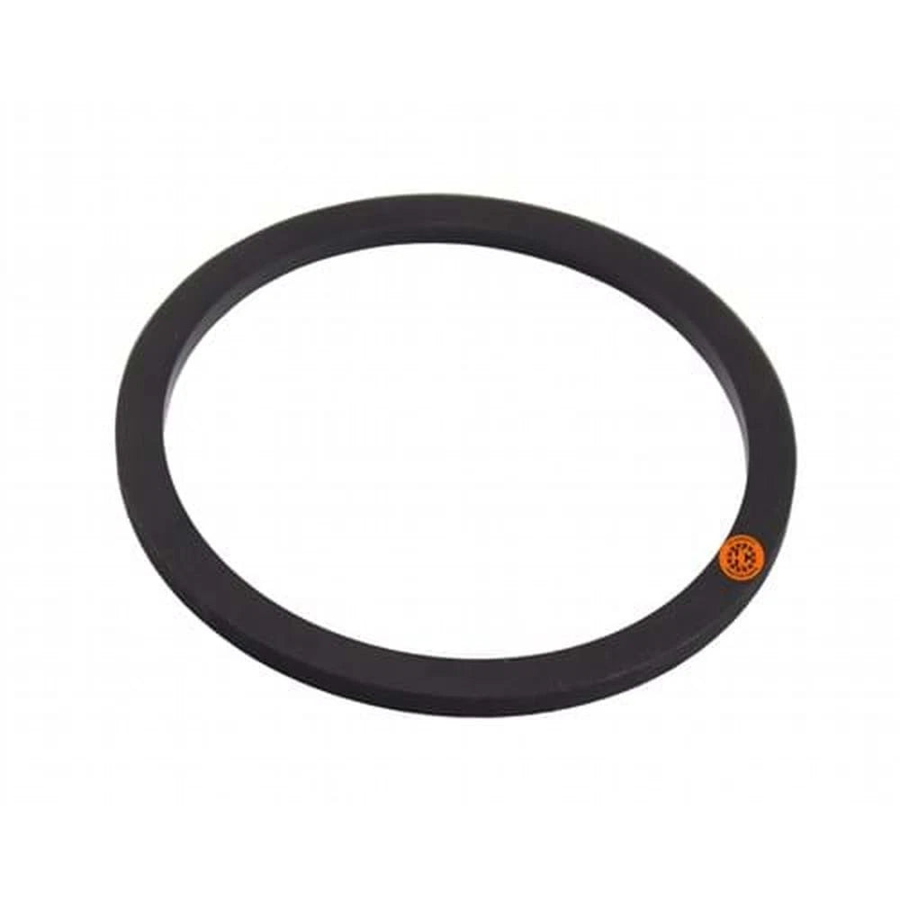 Hydraulic Seal for International (HH25173)