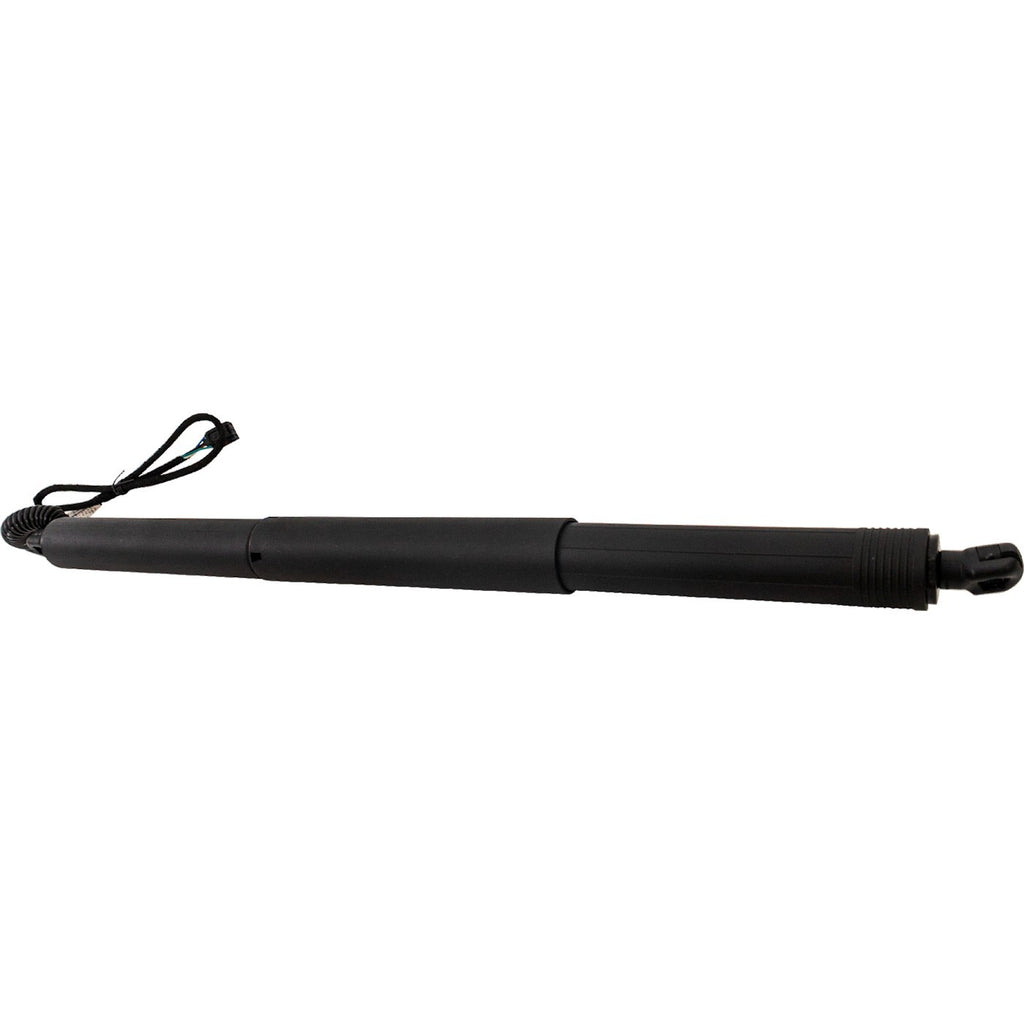 Liftgate Lift Supports for Audi Q3