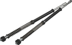 HardDrive Scepter Fork Kit 49mm for Harley Davidson FXD FXDB (2006–2010)