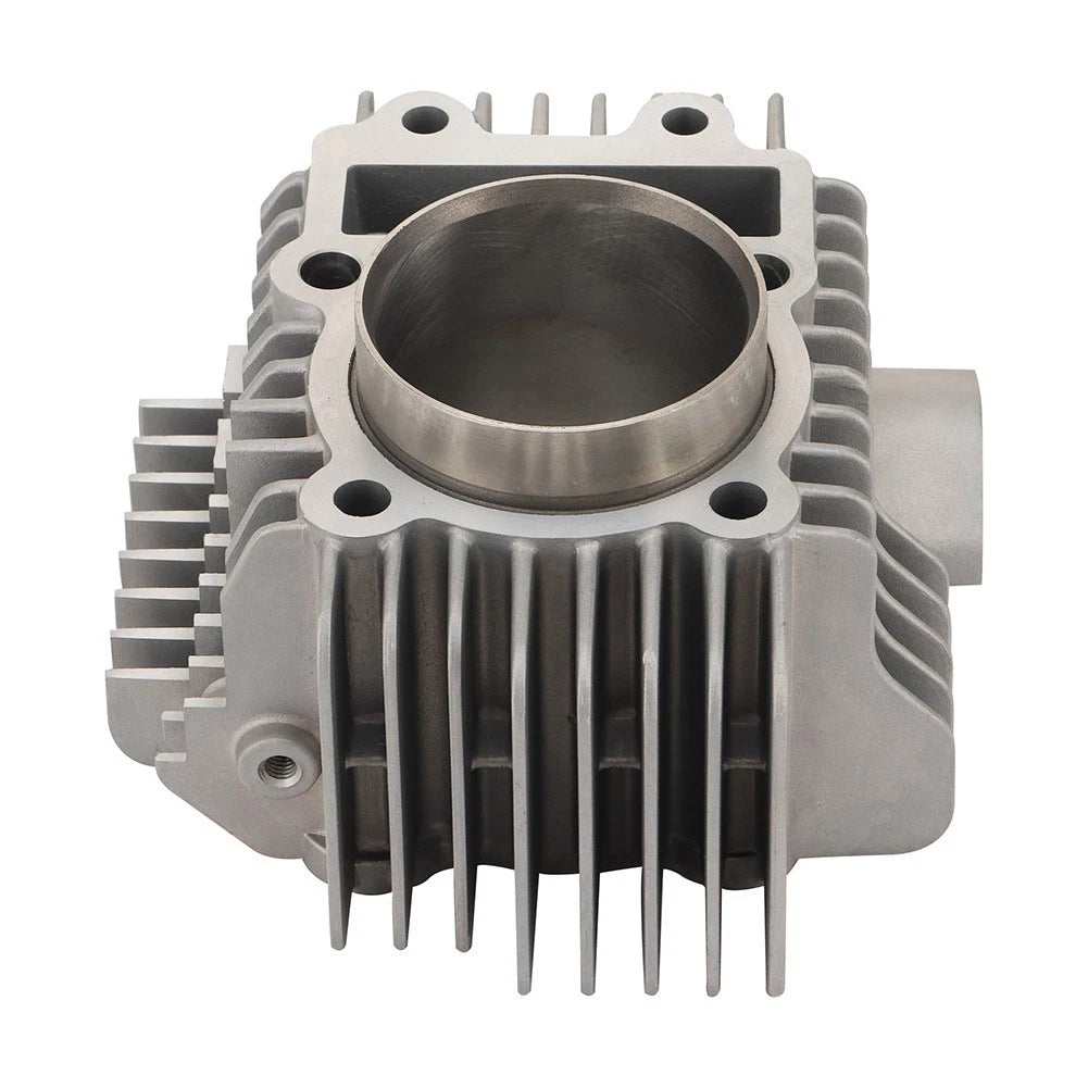 Cylinder Assembly for Motorcycle (Engine Overhaul Kit)