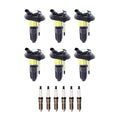Set of 6 Ignition Coils & Iridium Spark Plugs for Ascender Trailblazer (2002–2008)