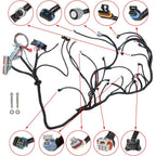 Standalone Engine Wiring Harness for Chevrolet LS1 (1997–2006) 4.8 5.3 6.0