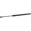 Liftgate Lift Supports for Honda Fit (2016–2017)