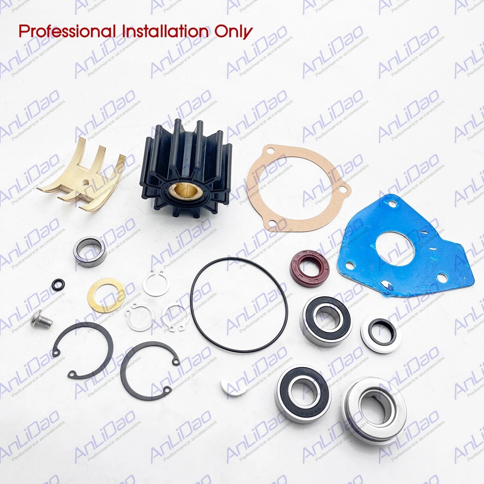 Water Pump Accessories for Chrysler Sherwood (3619212, 4142878, 3675763)