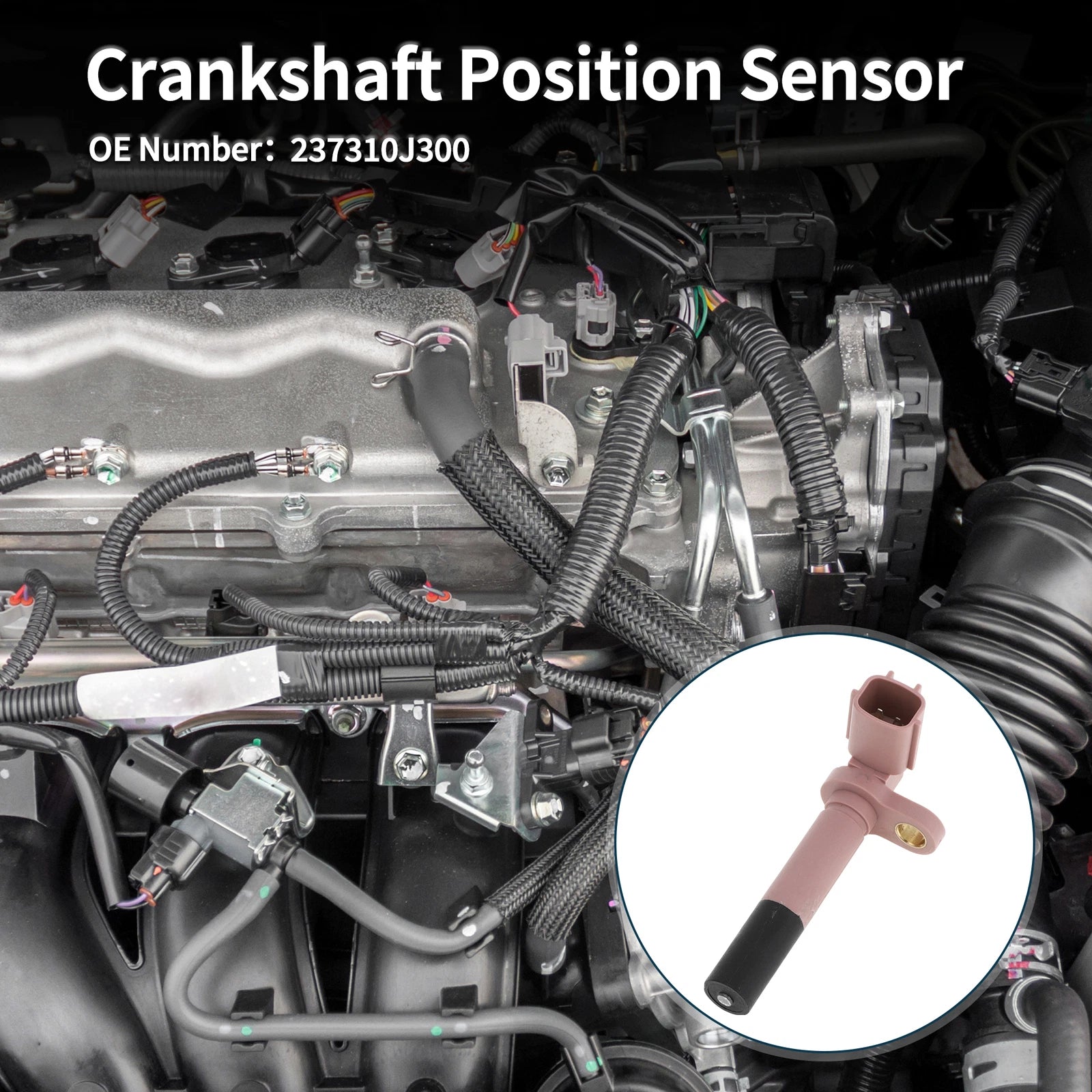 Crankshaft Position Sensor for Nissan Sentra SE 2.0 (1998–2001) No. 23731-0J300