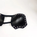 Captain Itch Engine Heat Shield for Harley Davidson
