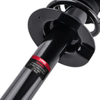 Rear Strut with Coil Spring Assembly for Honda Accord (2013–2017)