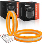 2X Engine Air Filter for Ford Mustang (1979)