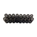 .660 Dual Valve Spring Kit for Chevrolet Corvette LS1 (1997–2004)