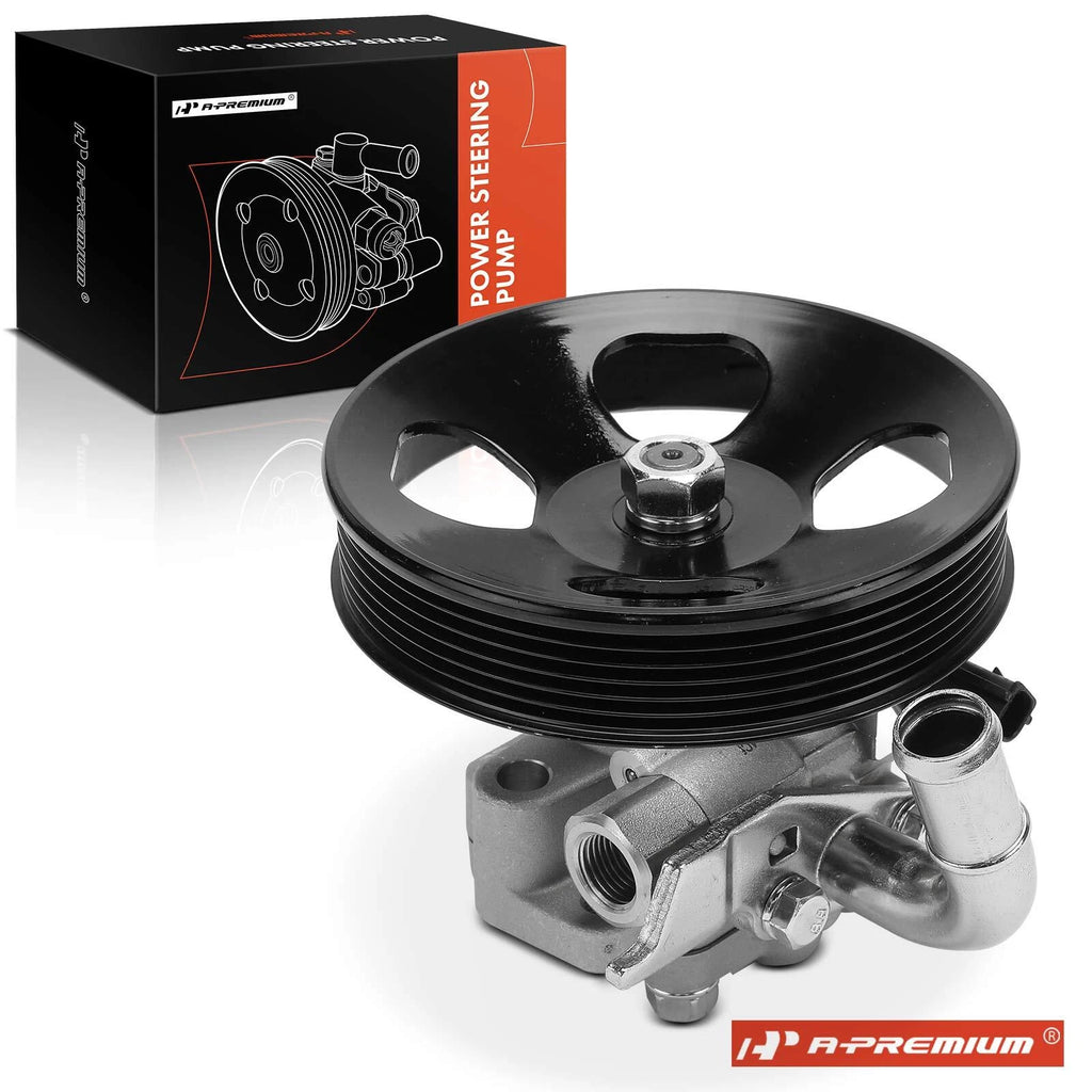 Power Steering Pump with Pulley for Kia Optima Rondo (2007–2009)