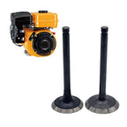 Exhaust Valve Set of 2 for EX17 EX21 (Compatible with Multiple Applications)
