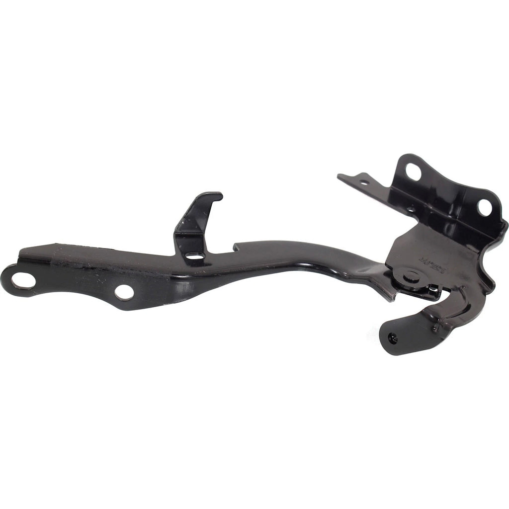 Hood Hinges for Lexus RX350L RX450h RX350 (2018–2023)