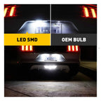 2X White LED License Plate Lights for Ford Mustang (2015–2021)