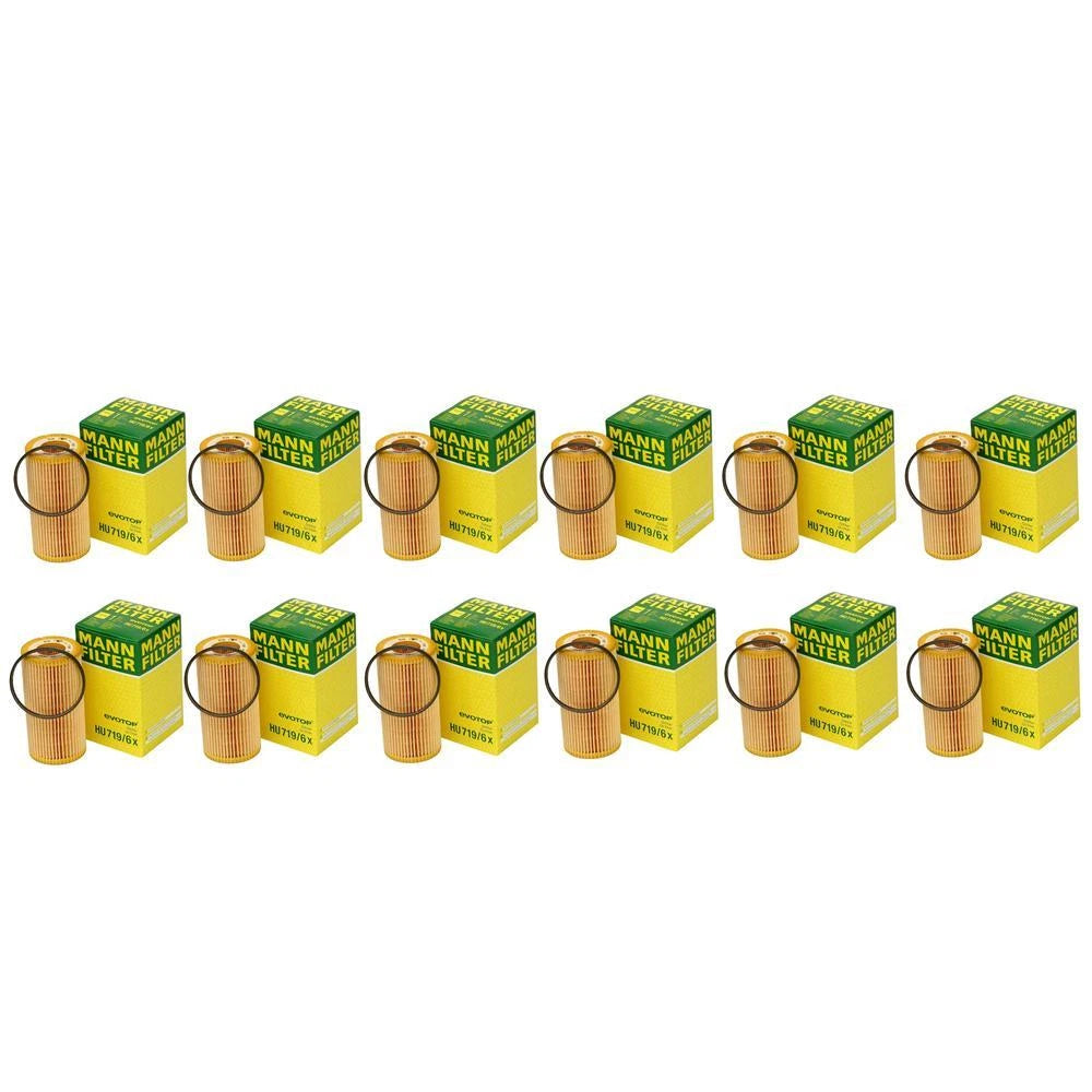 Set of 12 Cartridge Engine Oil Filters for Audi VW 2.0 L4 2.5 L5