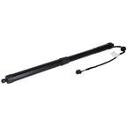 Liftgate Lift Support Strut for Nissan Pathfinder (2017–2019)
