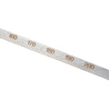 Engine Oil Dipstick Tool for Benz (120) (2000-2005)