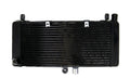 Radiator Grille Guard for Honda CB900 CB919F Hornet900 (2002–2007) Black