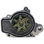 Timing Belt + Water Pump Kit for Civic EG GLi (1991-1995)