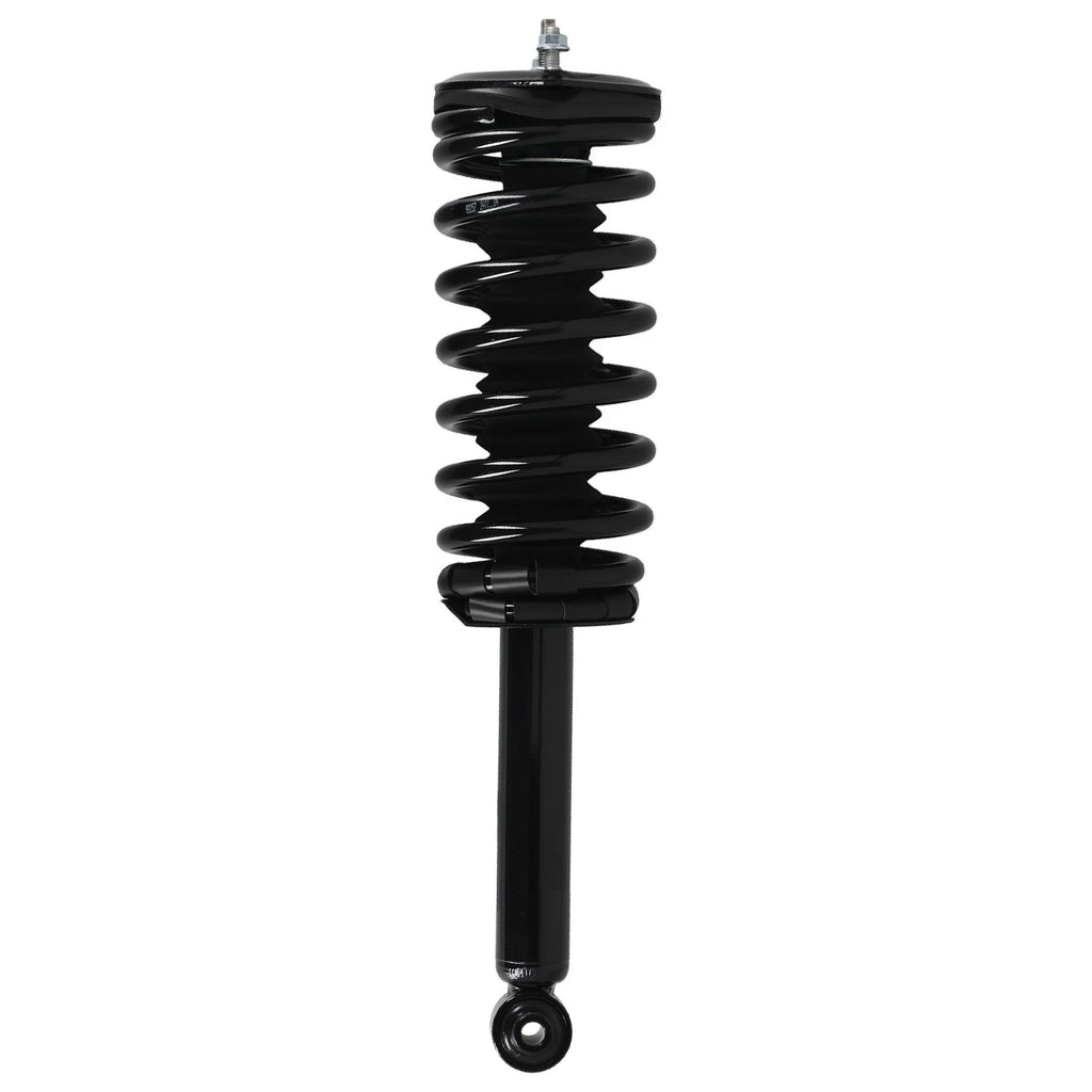 2X Rear Complete Struts Shocks w/Coil Springs for Nissan Maxima (1995–1999)
