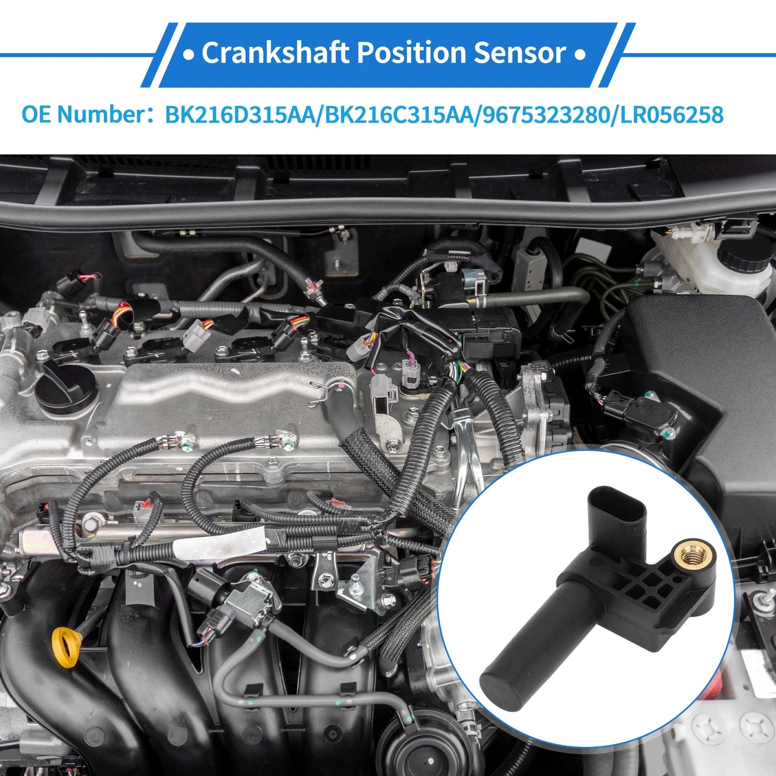 Crankshaft Position Sensor for Ford Transit Mk7 2.2 (2013–2018) No.BK216D315AA
