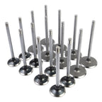 Intake & Exhaust Valves for Chrysler Dodge Ram 1500 Jeep Charger (2009–2018)