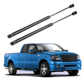 Front Hood Gas Lift Supports for Ford F-150 (2004–2008)