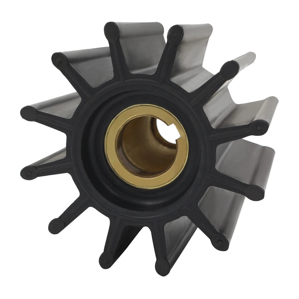 Jabsco Flexible Impeller Pump for (18958-0001)