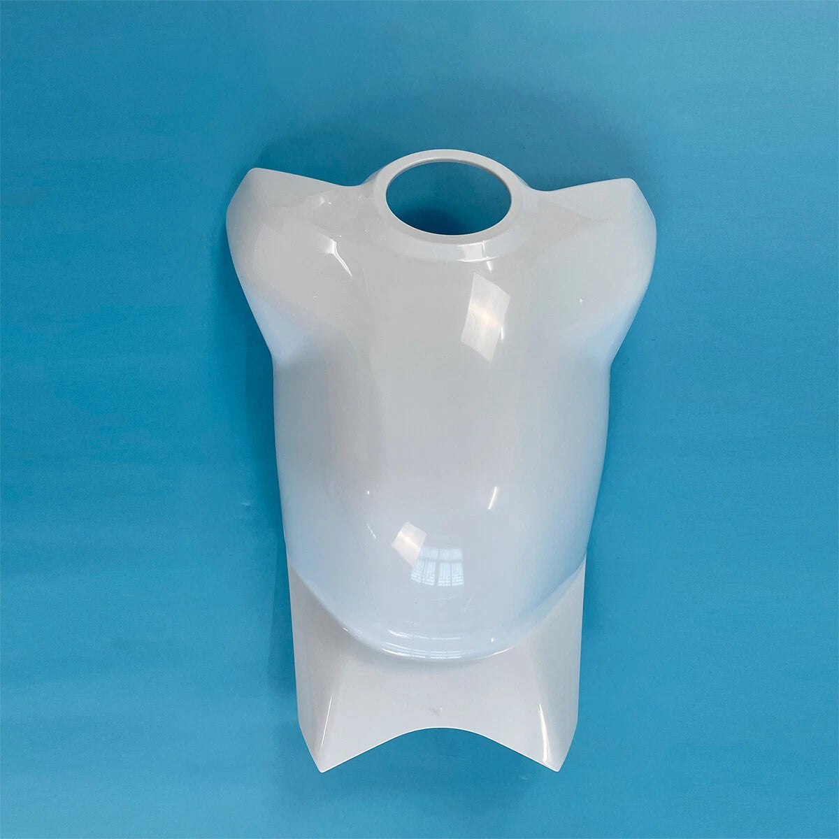 Fuel Gas Tank Cover Fairing for Ducati Panigale V4S (2018–2020)