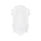 White Windshield for Daytone 660 (2024–2025)
