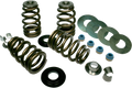 Valve Spring Kit for Harley Davidson Evo/Twin