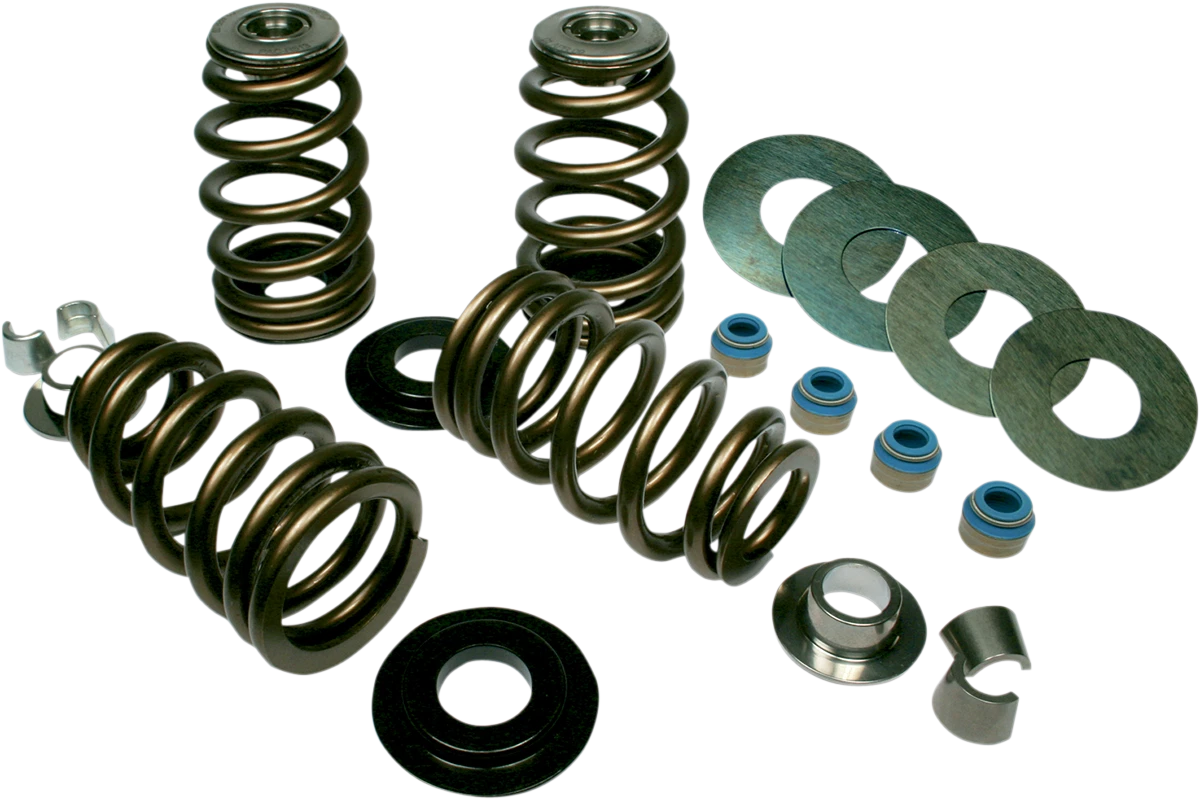 Valve Spring Kit for Harley Davidson Evo/Twin